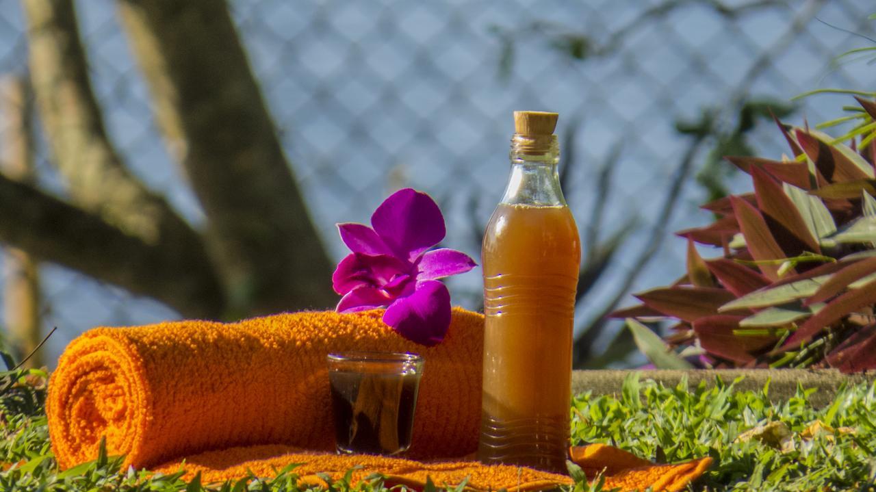 Ayurveda Spring Of Life Hotell Piliyandala Exteriör bild